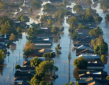 The U.N. weather agency issued a “red alert” about global warming in June 2024. Even though global efforts to implement environmental policies, the world’s efforts to reverse the tre...